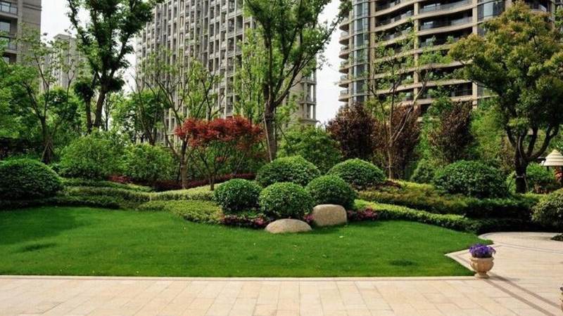 C罗转会消息怎么判断真假?转会规则与消息源梳理