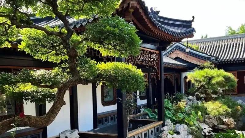 CBA常规赛排名怎么看?积分规则与季后赛形势判断方法